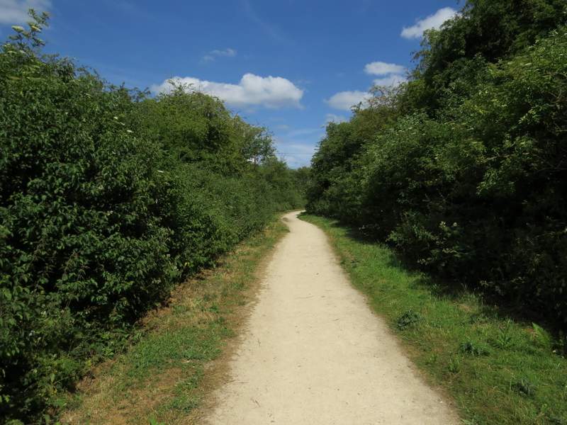 Pete's Walks Watlington Hill and Cookley Green (page 5 of 5)